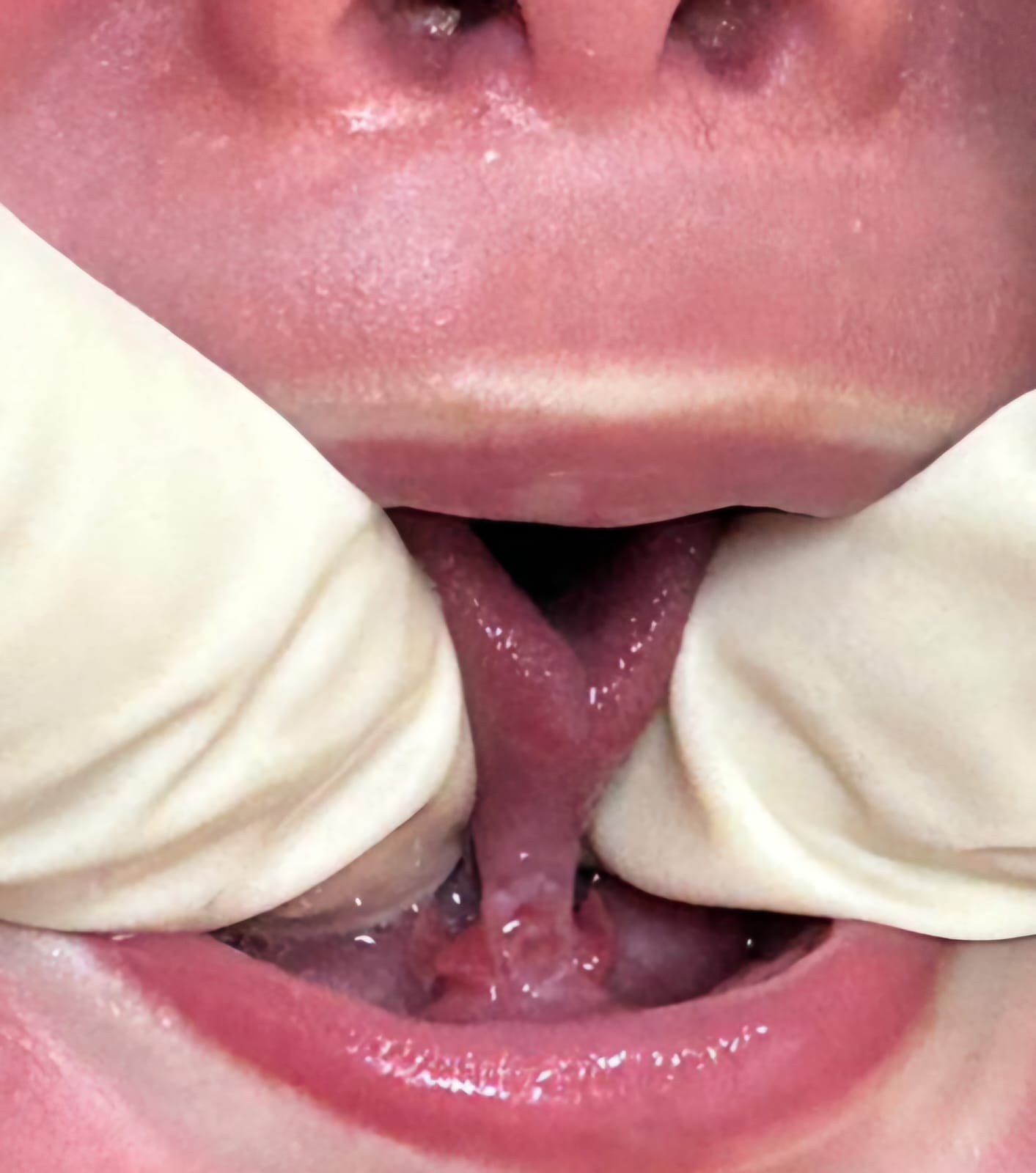 Imagen del artículo