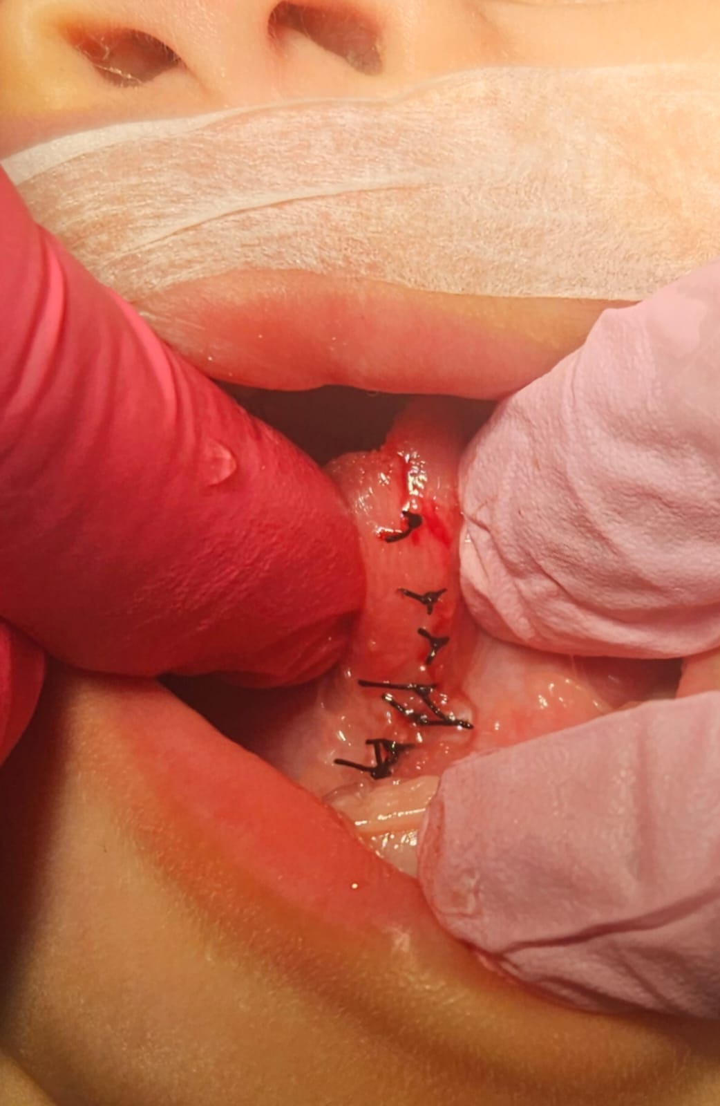 Imagen del artículo